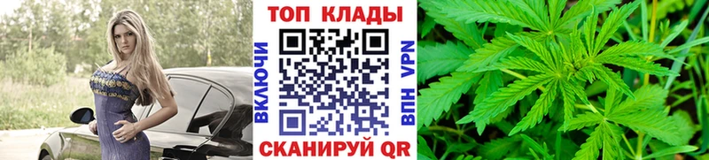  COCAIN Красноярск