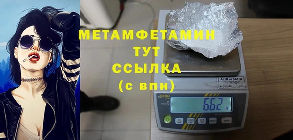 гидра Надым
