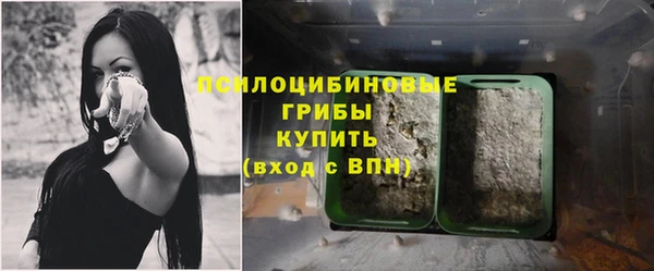 гидра Надым