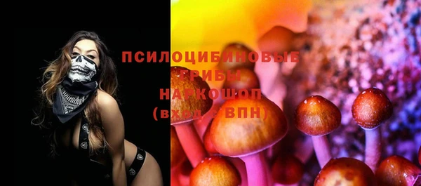 индика Навашино
