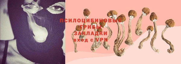 гидра Надым