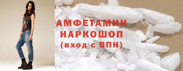 гидра Надым