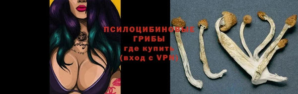 индика Навашино