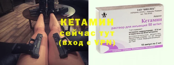 гидра Надым