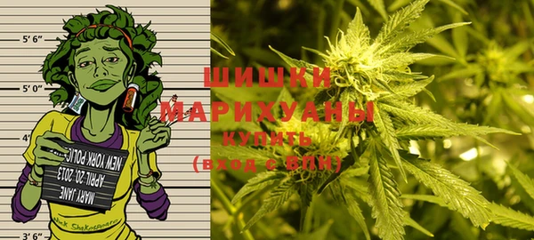 гидра Надым