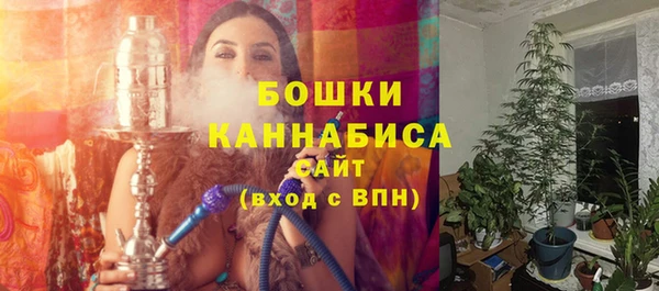 индика Навашино