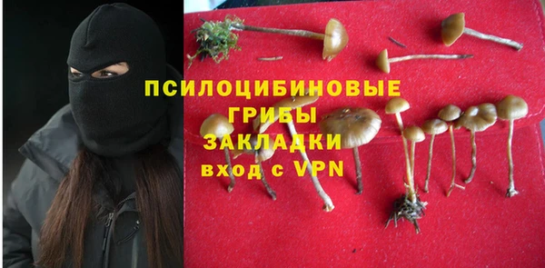гидра Надым