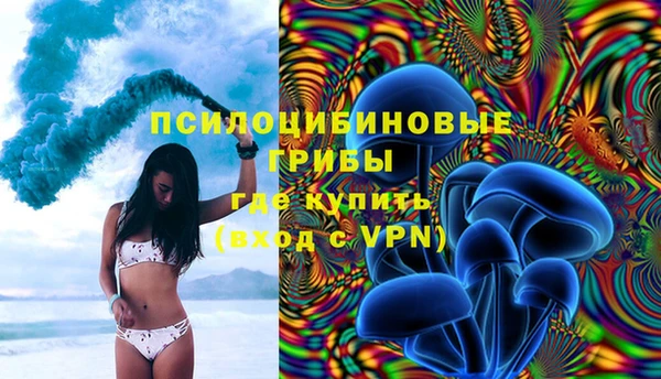 шишки Осинники