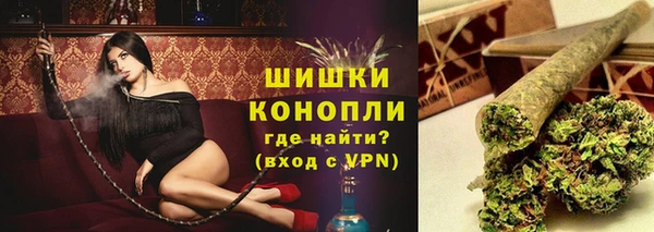 индика Навашино