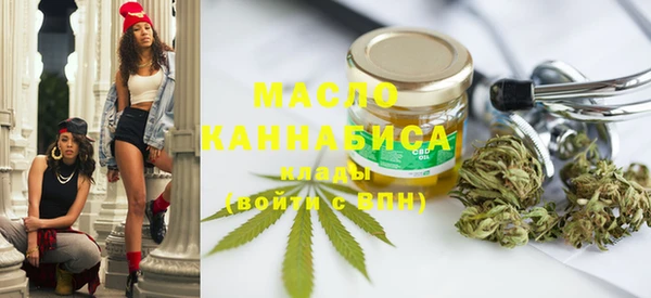 гидра Надым