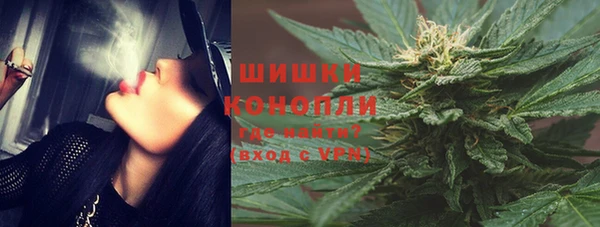 гидра Надым