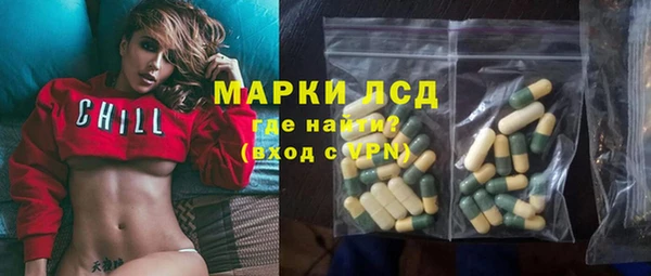гидра Надым