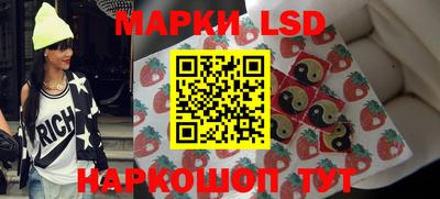 a pvp Гатчина
