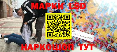 крисы Бийск