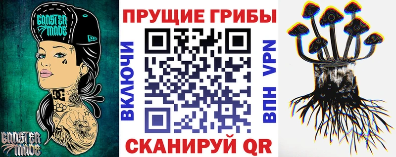 Галлюциногенные грибы Psilocybe  Красноярск 