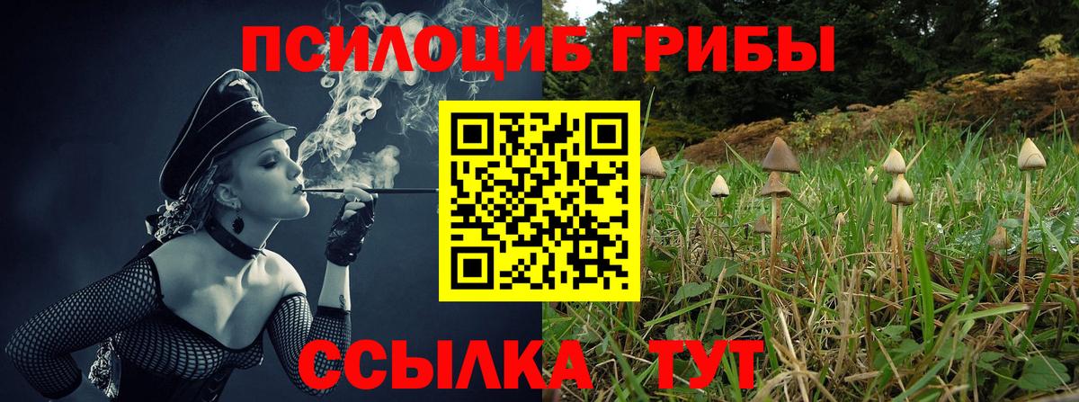 Галлюциногенные грибы мухоморы  Красноярск 