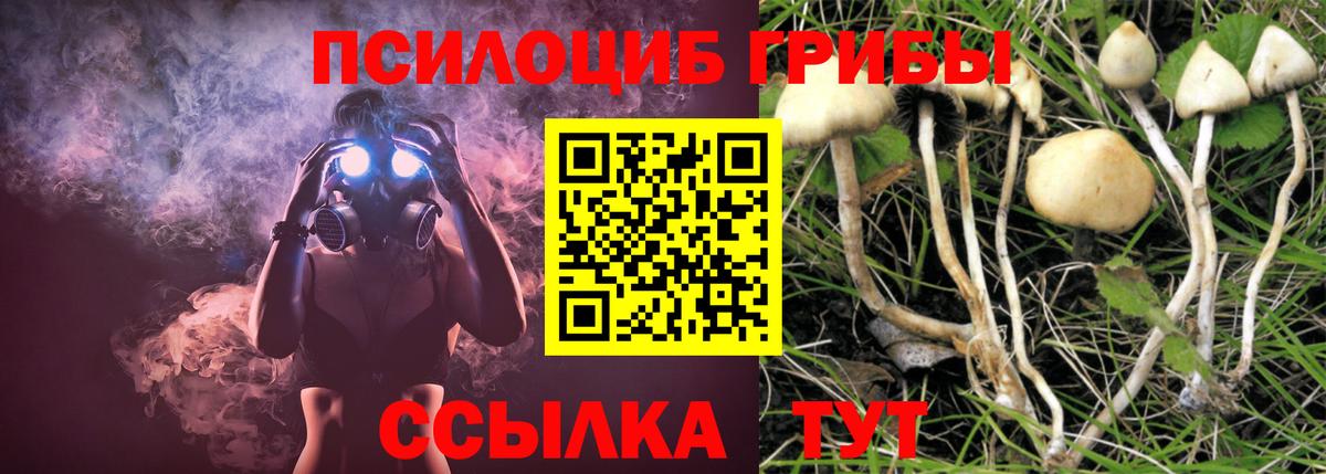 Псилоцибиновые грибы мухоморы  Вход с VPN  Красноярск  Псилоцибиновые грибы ЛСД 